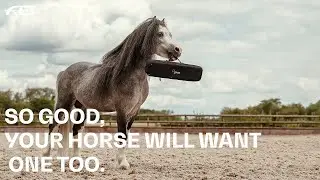 Pivo X FEI | So Good, Your Horse Will Want One Too