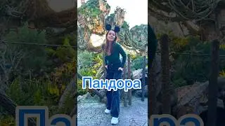Аватар в Disney Animal Kingdom 🪼🪐🦋