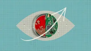 Advancing Research Transparency | Brian Nosek, Center for Open Science, Inc.