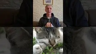 интересный факт про котов! #животные #кот #deaf #глухие #ржя #интересныефакты