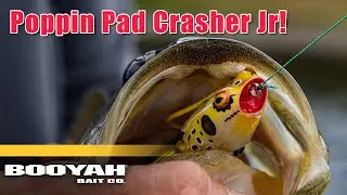 How to Fish the Poppin Pad Crasher Jr (Jason Christie Tips & Techniques)