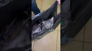 Шпрота развлекается 
