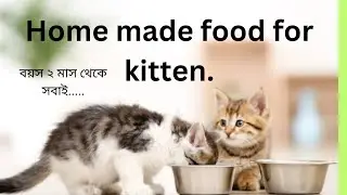 বাচ্চা বিড়াল থেকে শুরু করে সবার জন্য বানান এই মজাদার খাবার। #homemadekittenfood #easycatfoodmaking #