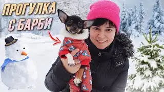 Прогулка в зимнем лесу • Той-Терьер Барби / AIDA ASKEROVA