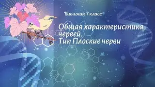 Биология 7 кл Пасечник $40 Общая характеристика червей. Тип Плоские черви