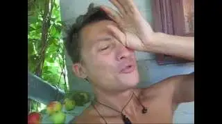 # 269 - Конфеты с лесным орехом. Бед экспириенс.
