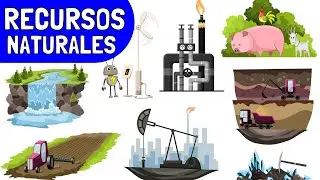 ¿Qué son los RECURSOS NATURALES? (Con Ejemplos y Explicación)☀️