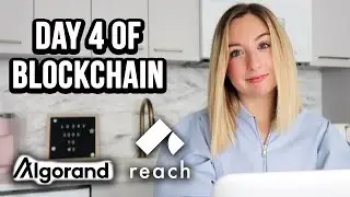 Day 4 of Blockchain | Adding Bets and Wagers to a Decentralized Application