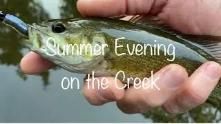 Summer Evening on the Creek