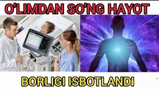 O'LIMDAN SO'NG HAYOT BORLIGI ILMIY ISBOTINI TOPDI