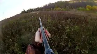 04.10.2016 Осенняя охота на утку и куропаток