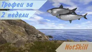 Русская рыбалка 4. Трофеи за 2 недели.