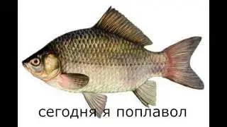 Мой блог #2