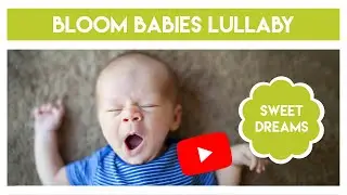 Lullaby Mozart For Babies Brain Development  | Sweet Dreams For Baby | Aid Baby Sleep