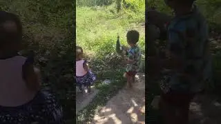 🦚🦚🦚🦚