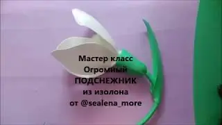 МК Ростовой ПОДСНЕЖНИК из изолона