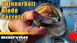 How Your Spinnerbait Blades Can Make or Break Your Spring Bass Fishing