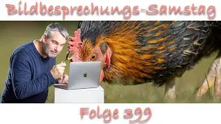 Bildbesprechung 399