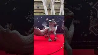 More Harry Potter Expo at Kings Cross St. Pancras Station in London