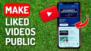 How to Make Liked Videos Playlist Public on Youtube