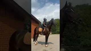 We loooove the fit 🐴💥🖤 