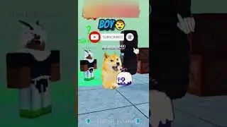 Boy or Girl or🗿🍷 | Doge Gaming 