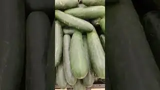 Гигантские огурцы