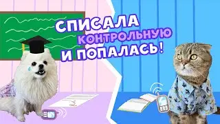 КАК СПИСАТЬ КОНТРОЛЬНУЮ 😱