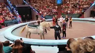 Открытая репетиция в Большом московском цирке. 01.11.2022. Часть 3. Сценка на лошади.