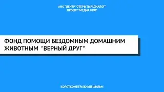 Фонд помощи бездомным домашним животным 