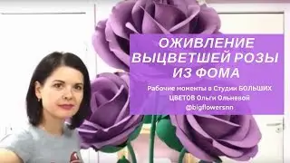 ОЖИВЛЕНИЕ ВЫЦВЕТШЕЙ РОЗЫ ИЗ ФОМА.  Рабочие моменты в Студии БОЛЬШИХ ЦВЕТОВ Ольги Ольневой
