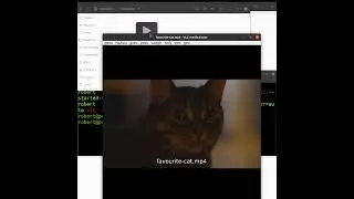 The 'kill' Command In Linux