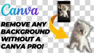 How to Remove Background in Canva Without Canva Pro (Canva Beginners Guide) - 2025