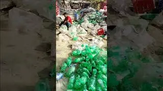 pulpy audit report video