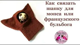 Как связать шапку для мопса или французского бульдога
