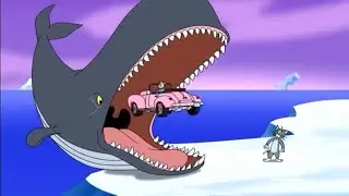 Whale noms (TAJTF)