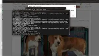 AttributeError: module 'tensorflow' has no attribute 'app'