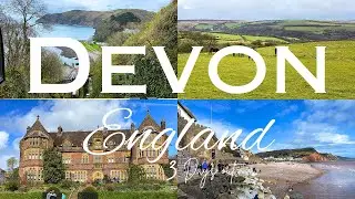 Things to do in Devon England-3 days out in Devon (2024)