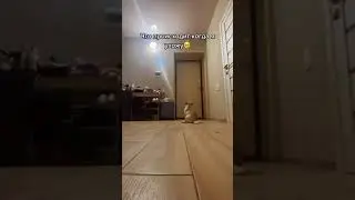 Что происходит когда я ухожу 🥰