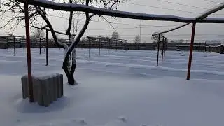 И снова морозы, под 30 градусов.