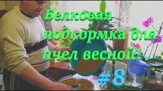 ✅ Белковая ПОДКОРМКА ДЛЯ ПЧЕЛ весной! 