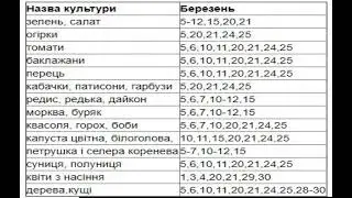Лунный посевной календарь на март 2021: когда и как правильно посадить рассаду.