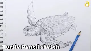 Turtle Pencil Drawing, How To Draw A Turtle Easy