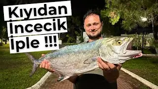 Kıyıdan Küçük Olta İle DEV Balık Yakaladım !!! LRF İle 5 KG Liça Avı