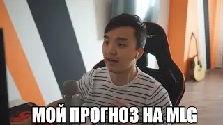 МОЙ ПРОГНОЗ НА MLG 2016