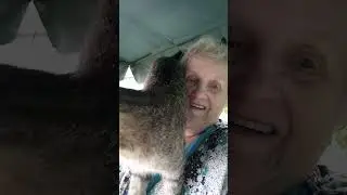 Бонифаций
