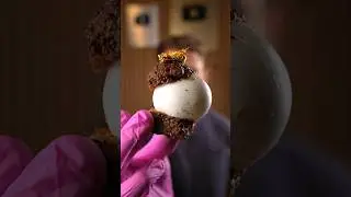 What would you call this?