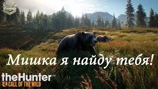 theHunter: Call of the Wild - Мишка я найду тебя! Добавляемся в друзья в стиме!