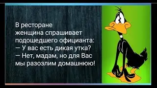 Как объяснить знакомому ИСПАНЦУ, что если идёт СНЕГ, ЗНАЧИТ ПОТЕПЛЕЛО? Юмор на каждый день.