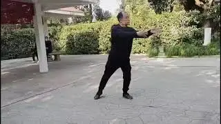 3 Year's Online Student Playing Small Circle Tai Chi